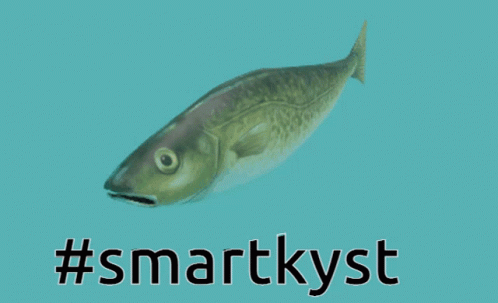 Atlantic Cod Fish Swimming GIF