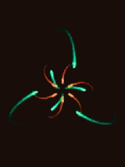 Atom Cosmic Repetition GIF