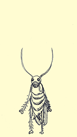 Atomic Bomb Cockroach Burning GIF