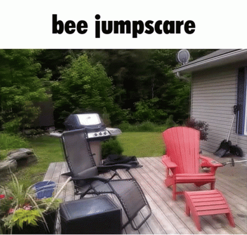 Attacked Buy A One Bee Meme GIF