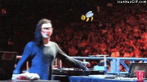 Attacked By A Bee Meme GIF