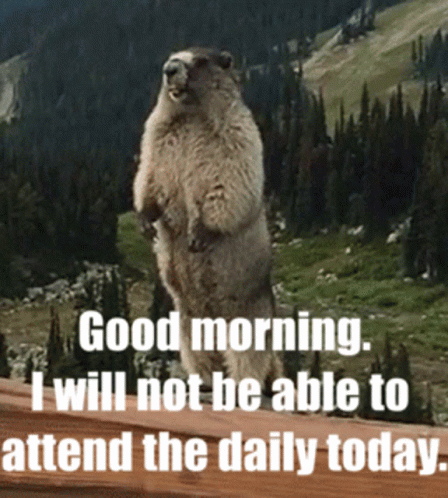 Attendance Good Morning Cute Marmot GIF