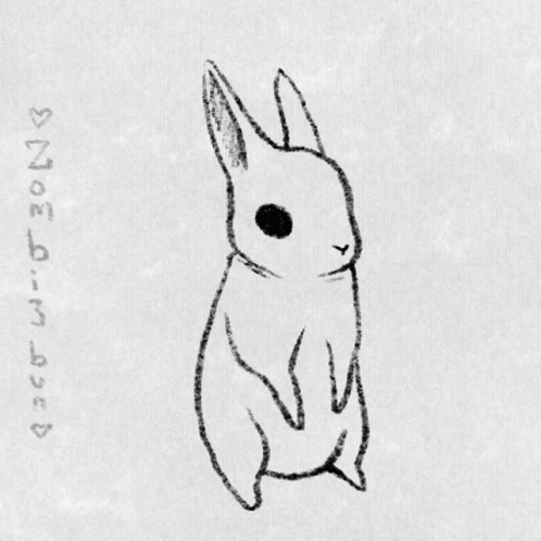 Attentive Bunnyt Flop GIF