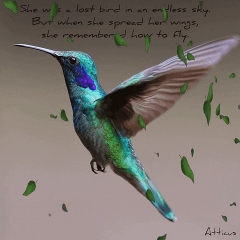 Atticus Motivational Quotes GIF