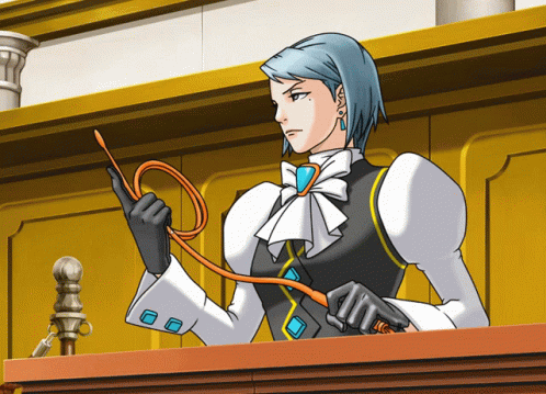 Attorney Franziska Fighting Phoenix Wright GIF