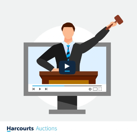 Auctioneer Started Item Bidding GIF