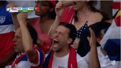 Audience Screaming For Usa Soccer GIF