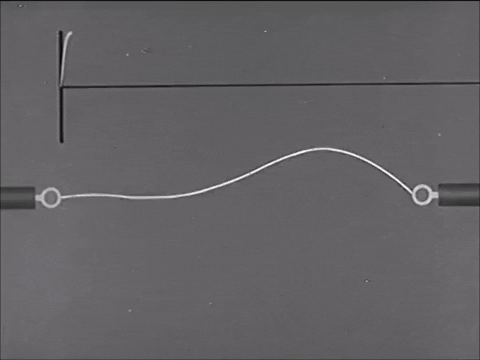 Audio Sound Wave Lines GIF