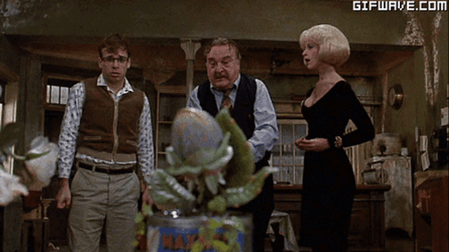 Audrey Exotic Plant Feed Me Seymour GIF