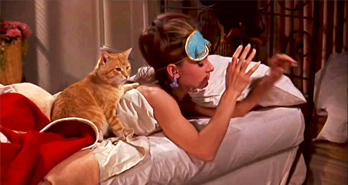 Audrey Hepburn Waking Up With Cat GIF