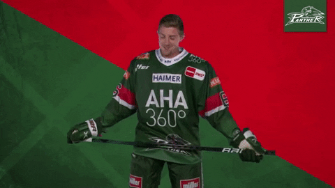 Augsburger Panther Elishockey GIF
