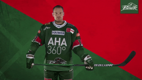Augsburger Panther Full Down Ice Hockey GIF