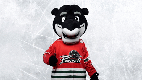 Augsburger Panther Hockey Mascot Shake Head GIF