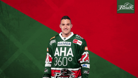 Augsburger Panther Ice Hockey Celebrate GIF