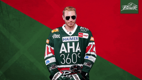 Augsburger Panther Ice Hockey Eye Glasses GIF