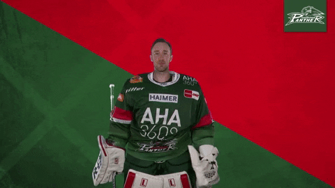 Augsburger Panther Ice Hockey Flying Kiss GIF