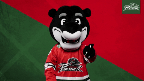 Augsburger Panther Ice Hockey Mascot Finger Shake No GIF