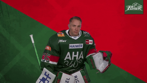 Augsburger Panther Ice Hockey Torwart Eishockey GIF