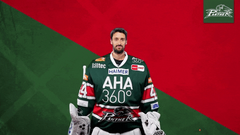 Augsburger Panther Jure Ice Hockey GIF