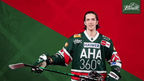 Augsburger Panther Rolling Ice Hockey GIF