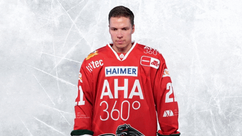 Augsburger Panther Shine Ice Hockey GIF