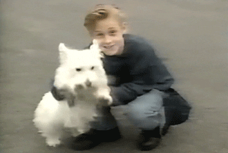 Austin Hays Young Ryan Gosling GIF