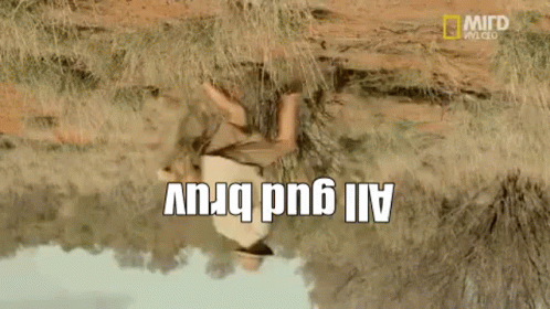 Australia Austrlain GIF