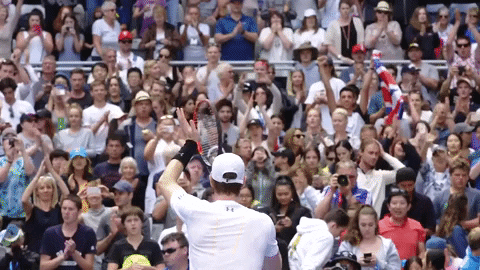 Australian Open Andy Murray Raising Tennis Racket GIF