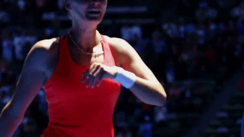 Australian Open Mirjana Lučić-baroni Big Smile GIF