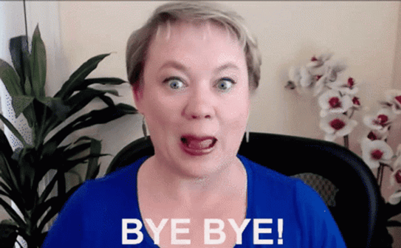 Author Alina Vincent Bye Bye Bye GIF