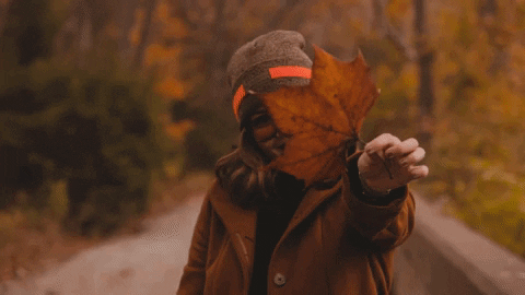 Autum Dried Leaf GIF