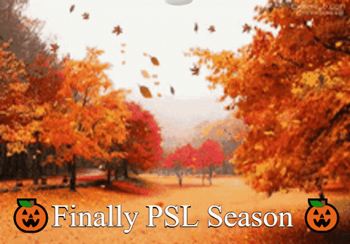 Autumn Falls Finally Pumpkin Spice Latte GIF