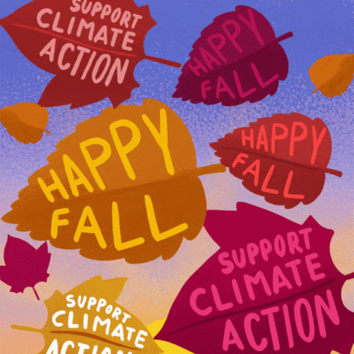 Autumn Falls Maple Leaf Climate Action GIF