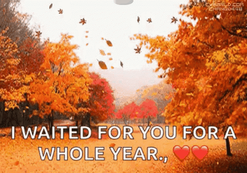 Autumn Falls Starbucks Pumpkin Spice Latte GIF