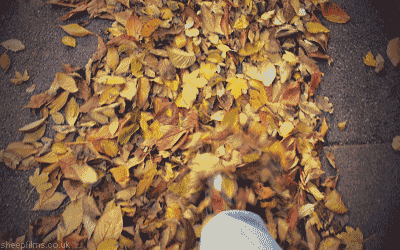 Autumn Falls Walking Pov GIF