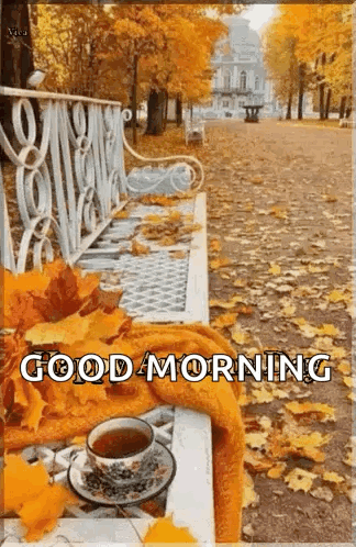 Autumn Gif GIF