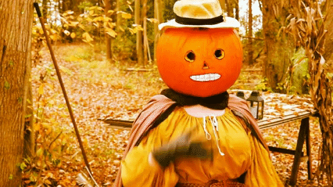 Autumn Halloween Lady GIF
