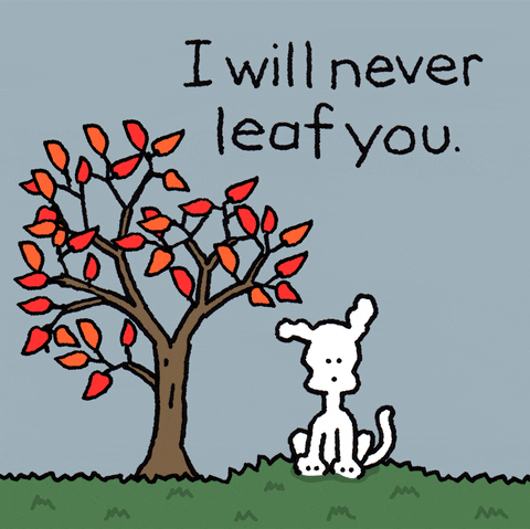 Autumn I Will Never Leaf You GIF