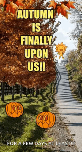 Autumn Is Finally Upon Us For A Few Days At Least !! GIF