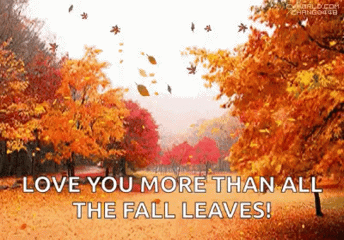 Autumn Leaves Are Falling From The Trees In A Park GIF