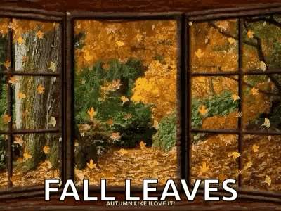 Autumn Leaves Falling Out a Window Saying Fall Leaves Autumn Like I Love It