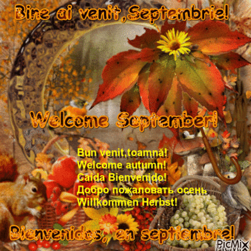 Autumn Leaves Saying Welcome September