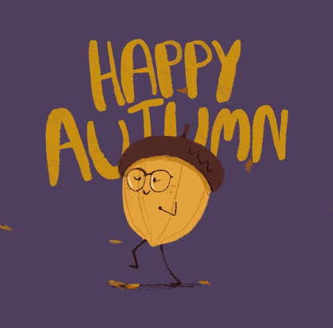 Autumn Old Man Acorn GIF