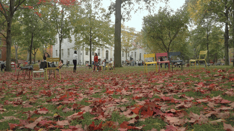 Autumn Park Activities GIF