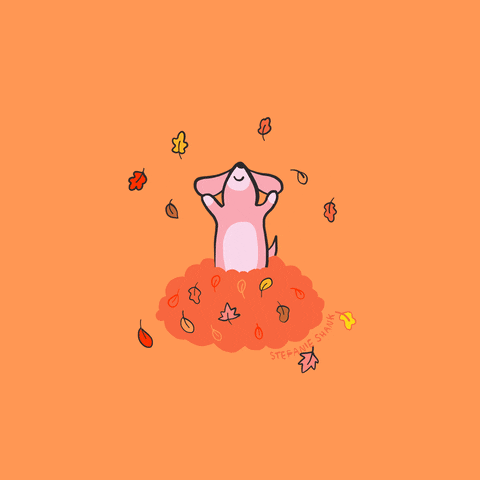 Autumn Pink Dog Stefanie Shank GIF