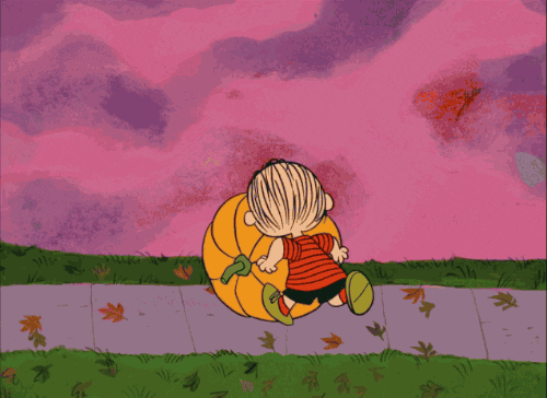 Autumn Pumpkin Charlie Brown GIF