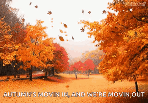 Autumn's Moving In Happy Fall Sunday GIF