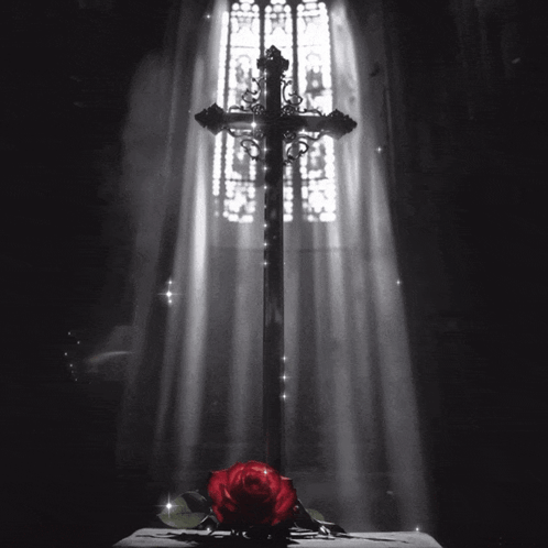 Ava Max Lost Your Faith Album Cross Rose GIF