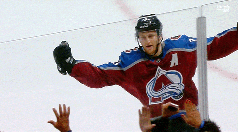Fans Cheering On Avalanche Team GIF