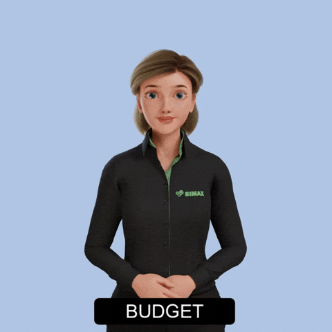 Avatar Teaching Budget Sign Language GIF